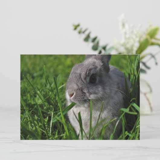 Imbiss-Zeit Einladung (Stehend Vorderseite)