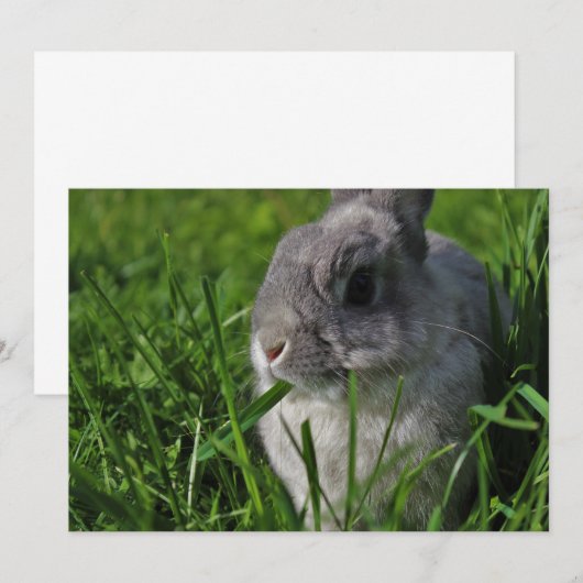 Imbiss-Zeit Einladung (Vorne/Hinten)