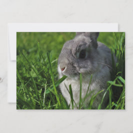 Imbiss-Zeit Einladung