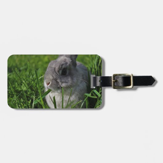 Imbiss-Zeit Gepäckanhänger (Vorderseite horizontal)