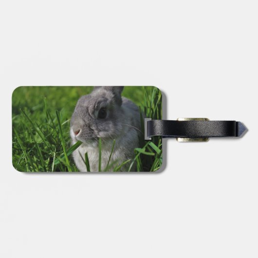 Imbiss-Zeit Gepäckanhänger (Rückseite horizontal)