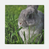 Imbiss-Zeit Magnet (Vorne)