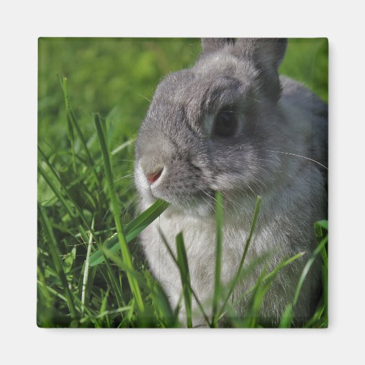 Imbiss-Zeit Magnet (Vorne)