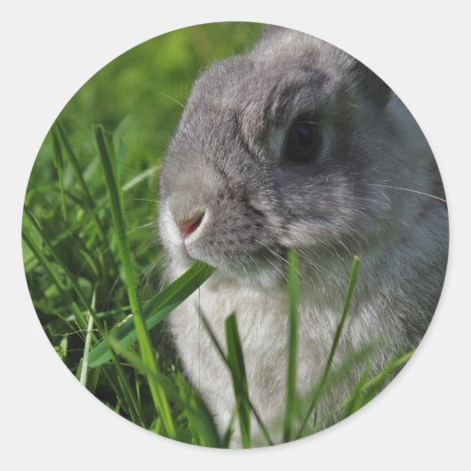 Imbiss-Zeit Runder Aufkleber (Vorderseite)