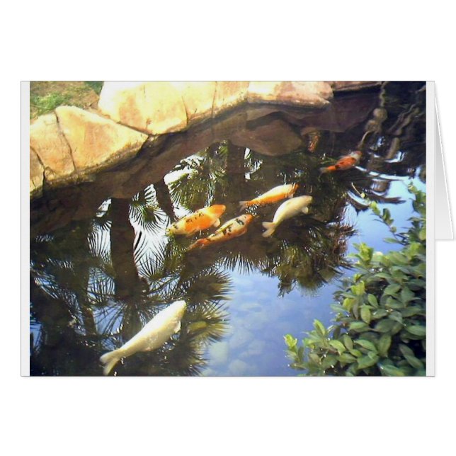 img1173.JPG (Vorderseite (Horizontal))