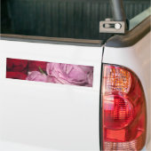 IMG_0032.JPG AUTOAUFKLEBER (Auf Lkw)