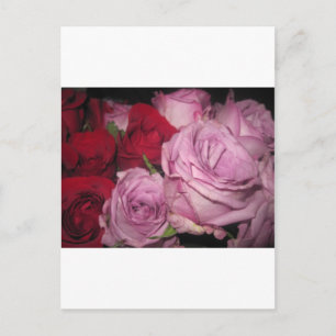 IMG_0032.JPG POSTKARTE