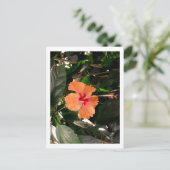 IMG_0033 POSTKARTE (Stehend Vorderseite)