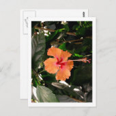 IMG_0033 POSTKARTE (Vorne/Hinten)