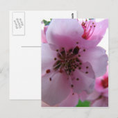 IMG_0037_3 POSTKARTE (Vorne/Hinten)