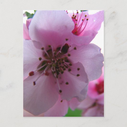 IMG_0037_3 POSTKARTE (Vorderseite)