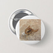 IMG_0147.JPG BUTTON (Vorne & Hinten)