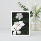 IMG_0236 POSTKARTE (Stehend Vorderseite)