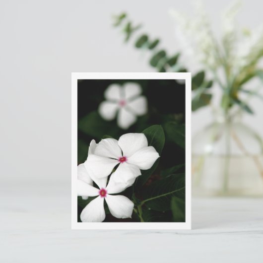 IMG_0236 POSTKARTE (Stehend Vorderseite)