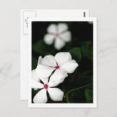 IMG_0236 POSTKARTE (Vorne/Hinten)