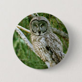 IMG_0297_2 BUTTON (Vorderseite)