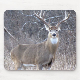 IMG_0327 MOUSEPAD
