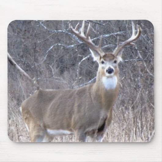 IMG_0327 MOUSEPAD (Vorne)