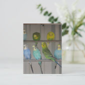 IMG_0348 POSTKARTE (Stehend Vorderseite)