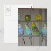 IMG_0348 POSTKARTE (Vorne/Hinten)