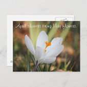 IMG_0371, Duschen April bringen Mai Blume. Postkarte (Vorne/Hinten)