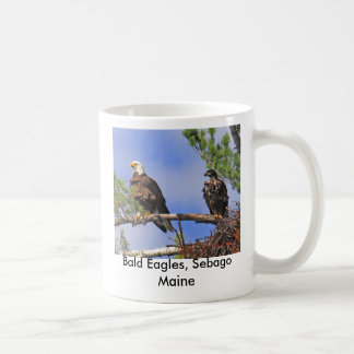 IMG_0411cn, Weißkopfseeadler, Sebago Maine Kaffeetasse