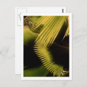 IMG_0453 POSTKARTE (Vorne/Hinten)