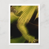 IMG_0453 POSTKARTE (Vorderseite)