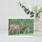 IMG_0494_1 POSTKARTE (Stehend Vorderseite)