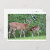 IMG_0494_1 POSTKARTE (Vorne/Hinten)