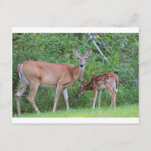 IMG_0494_1 POSTKARTE