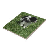 IMG_0545.JPG FLIESE (Seite)