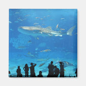 IMG_0598 MAGNET (Vorne)