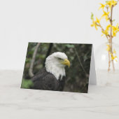 IMG_0673-Adler_12x18 Karte (Gelbe Blume)