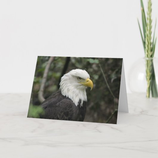 IMG_0673-Adler_12x18 Karte (Vorderseite)