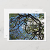 IMG_078 POSTKARTE (Vorne/Hinten)