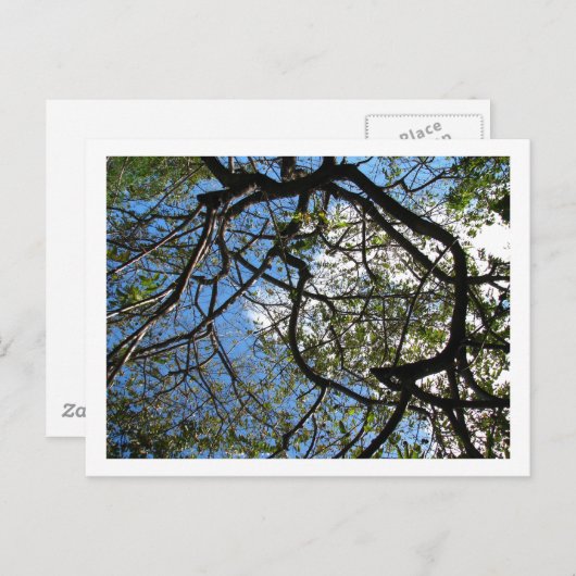 IMG_078 POSTKARTE (Vorne/Hinten)