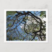 IMG_078 POSTKARTE (Vorderseite)