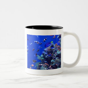 IMG_0829 ZWEIFARBIGE TASSE