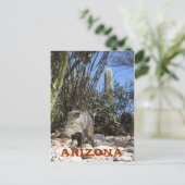 IMG_0830, ARIZONA POSTKARTE (Stehend Vorderseite)