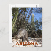 IMG_0830, ARIZONA POSTKARTE (Vorne/Hinten)