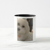 IMG_0935 TASSE (Zentrum)