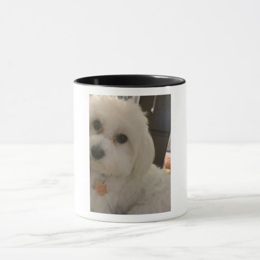 IMG_0935 TASSE (Zentrum)