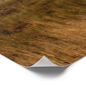 IMG_1081 POSTER (Ecke)