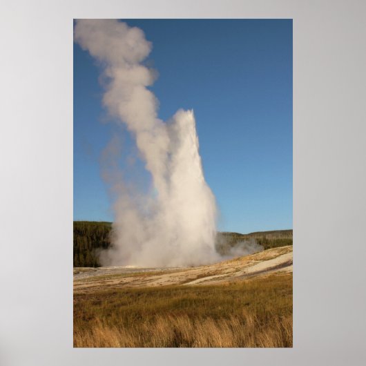 IMG_1081 POSTER (Vorne)