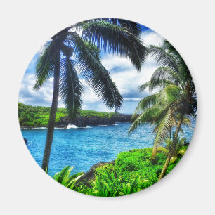 IMG_1122 4 Schwarzer Sandstrand von Hawaii Magnet