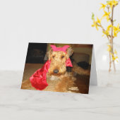 IMG_1191 KARTE (Gelbe Blume)