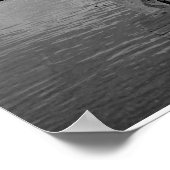 IMG_1204, Foto von: Deb Stachoviak Poster (Ecke)