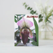 IMG_1248, ALOHA!!  Postkarte (Stehend Vorderseite)