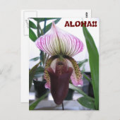 IMG_1248, ALOHA!!  Postkarte (Vorne/Hinten)